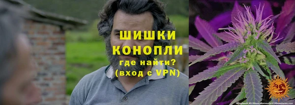 шишки Вязьма