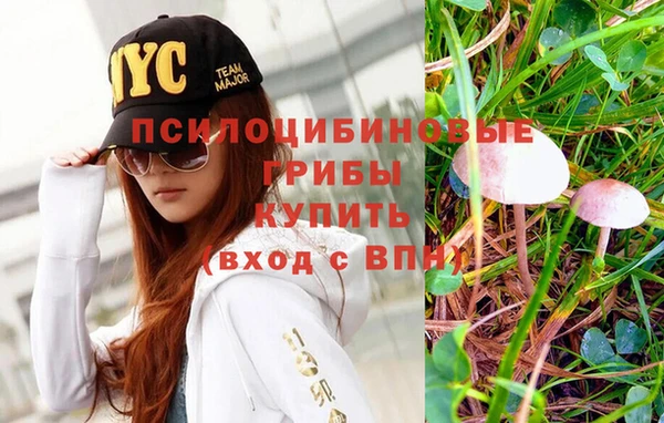 шишки Вязьма