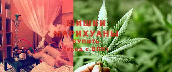 хмурый Горняк