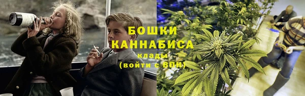 хмурый Горняк